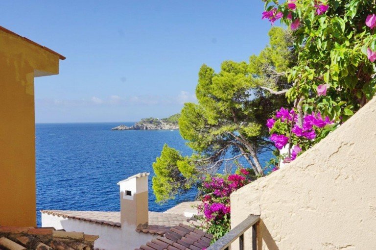 DSC04188 Paguera - Mallorca Terrassenwohnung Kocketes Nest am Meer, mit Meerzugang, Terrasse und sch�nem Meerblick in Cala Fornells zu verkaufen