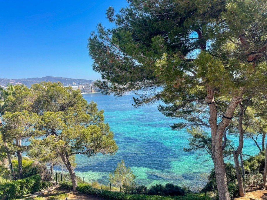 Wohnung in erster Meereslinie in Cala Vinyas (9) Maisonettewohnung Illetes (Ses) / Magaluf