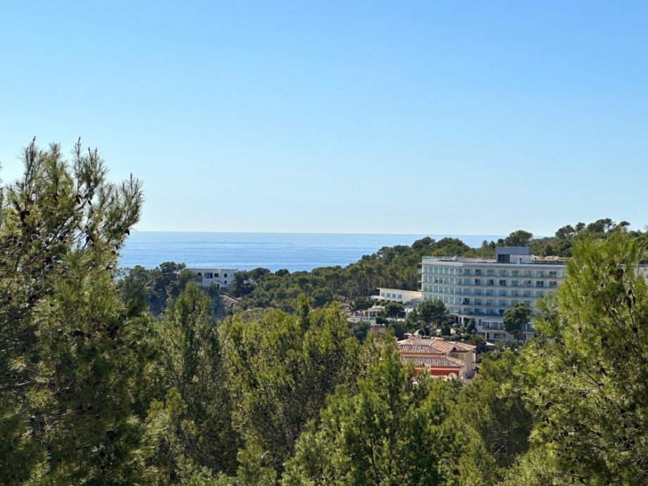  Penthousewohnung Peguera / Peguera